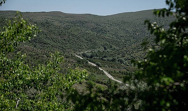 Karaman'da ormanlık alanlara girişler 30 Eylül 2023'e kadar yasaklandı