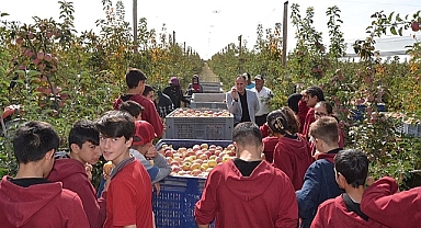Öğrenciler elma bahçesini gezdi