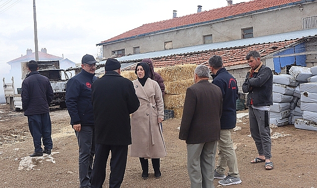Yangında zarar gören üreticiye kaba yem desteği