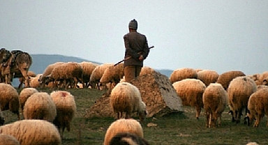 Kazımkarabekir'de Sürü Yönetimi Elemanı Kursu