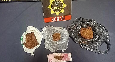 Karaman'da bonzai ile yakalanan 2 kişi tutuklandı