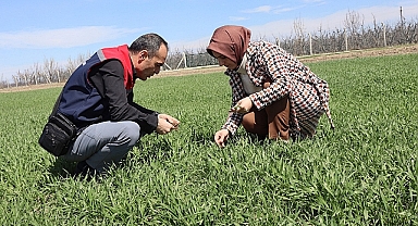 Üretim Alanlarında Hastalık Kontrolleri Yapıldı
