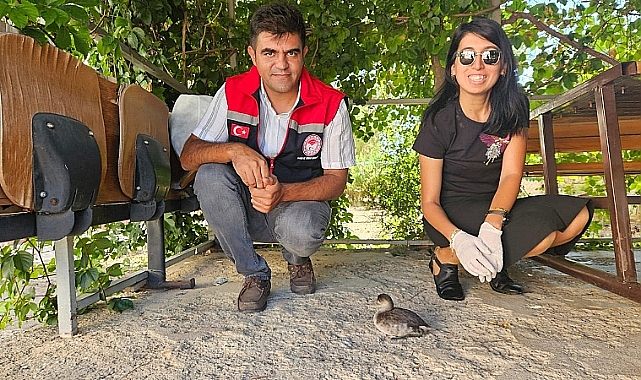 Yaralı bulunan Karabatak Kuşu tedavi edildi