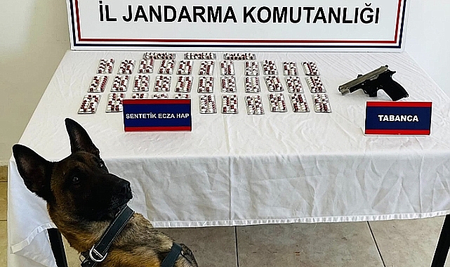Jandarma ve Erek'ten uyuşturucuya geçit yok