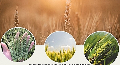 Arpa ve Buğday Üreticileri Askı İcmali çıktı