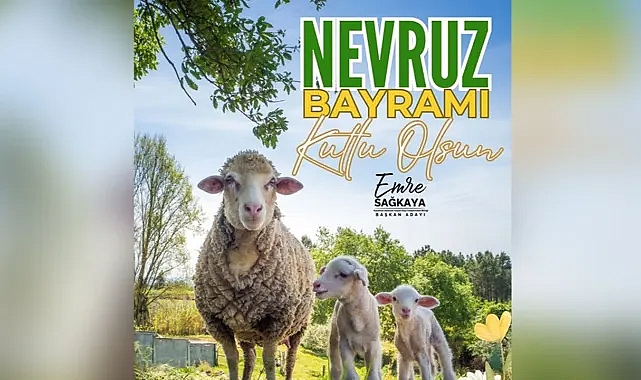 Emre Sağkaya: