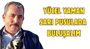 YÜCEL YAMAN, 