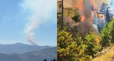 Ermenek'te Orman Yangını Çıktı