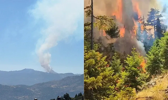 Ermenek'te Orman Yangını Çıktı