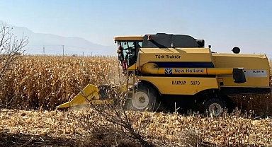 Karaman'da Dane Mısır Biçim Ücreti Belli Oldu