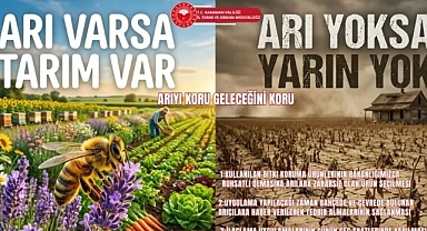 Arıları Korumak İçin İlaçlamada Kritik Uyarı