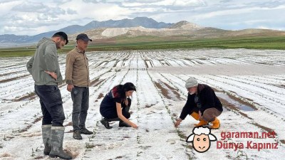 Sinci ve Dinek Köylerini Dolu Vurdu: Hasar Tespit Çalışmaları Başladı