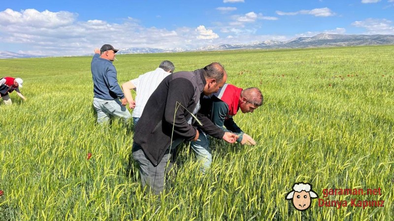 Ayrancı’da Dolu ve Selden Etkilenen Tarım Arazilerinde İnceleme