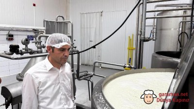 Ayrancı'da Koyun Tulum Peyniri ve Koyun Yoğurdu Üretim Sezonu Başladı