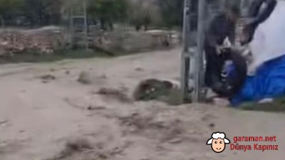 Berendi Köyü’nde sel paniği