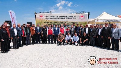 Burunoba köyünde Mera Islah Projesi Tamamlandı, Koyunlar Yeni Meraya Salındı