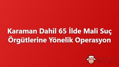 Karaman Dahil 65 İlde Mali Suç Örgütlerine Yönelik Operasyon
