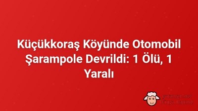Küçükkoraş Köyünde Otomobil Şarampole Devrildi: 1 Ölü, 1 Yaralı