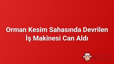 Orman Kesim Sahasında Devrilen İş Makinesi Can Aldı