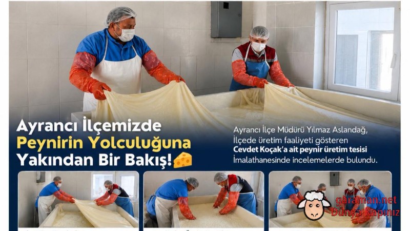 Ayrancı'da Peynir Üretim Tesisi Denetlendi