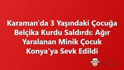 Karaman'da 3 Yaşındaki Çocuğa Belçika Kurdu Saldırdı: Ağır Yaralanan Minik Çocuk Konya'ya Sevk Edildi