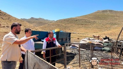 100 Küçükbaş Hayvanla Üretime Güç Katacak