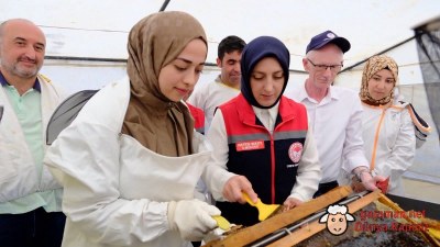 Ayrancı Bal Hasadına Kaymakam ve İl Müdürü Katıldı