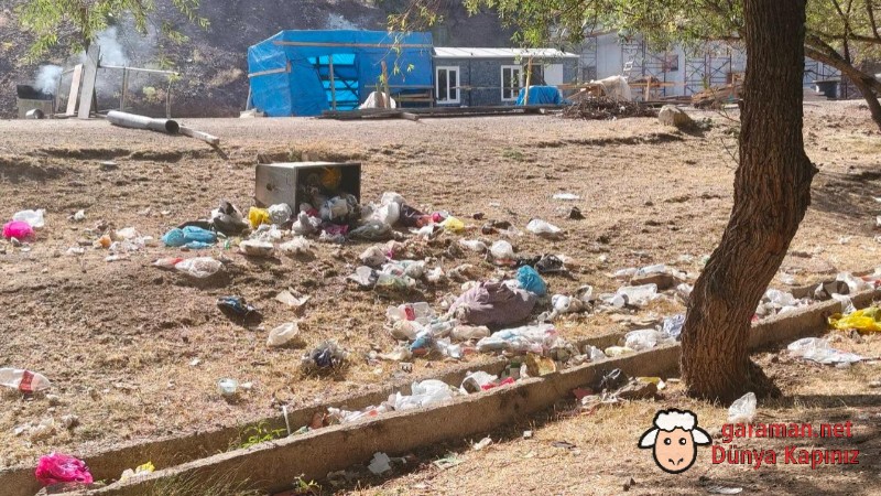 Fisandun Piknik Alanı'nda Çöp Tepkisi: Doğal Güzellik Kirlilikle Gölgelendi