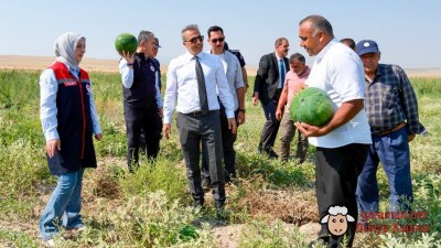 Karaman Valisi Çiçek, Ortaoba Karpuzu Hasadına Katıldı