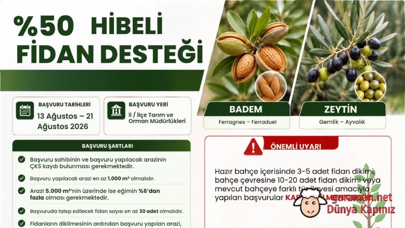 Karaman’da %50 Hibeli Zeytin ve Badem Fidanı Desteği İçin Başvurular Başlıyor