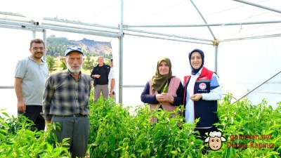 Karaman’da Sera Üreticilerine Ziyaret: 78 Yaşındaki Üreticinin Azmi Dikkat Çekti