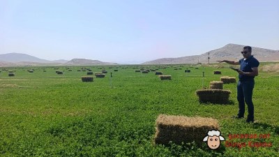 Ortaoba ve Süleymanhacı Köylerinde Yem Bitkisi Desteği Kontrolleri Yapıldı
