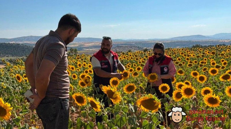 TAKE Projesi Kapsamındaki Ekim Alanlarında İnceleme Yapıldı