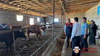 Başyayla’da Hayvancılığa Destek