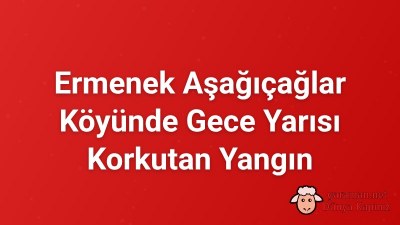Ermenek Aşağıçağlar Köyünde Gece Yarısı Korkutan Yangın