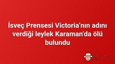 İsveç Prensesi Victoria’nın adını verdiği leylek Karaman’da ölü bulundu