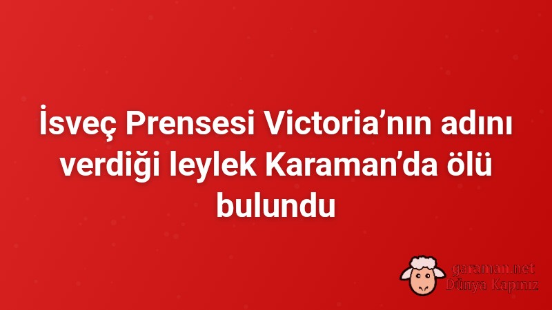İsveç Prensesi Victoria’nın adını verdiği leylek Karaman’da ölü bulundu