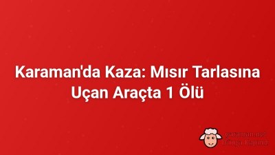 Karaman'da Kaza: Mısır Tarlasına Uçan Araçta 1 Ölü